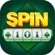spin 101